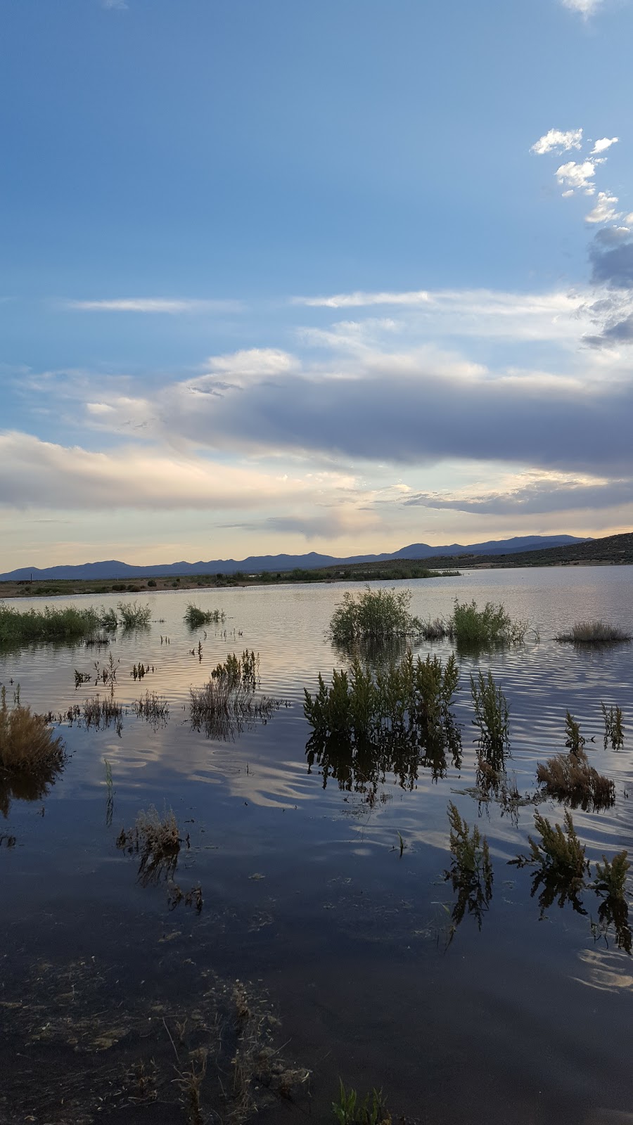 Zunino Jiggs Reservoir