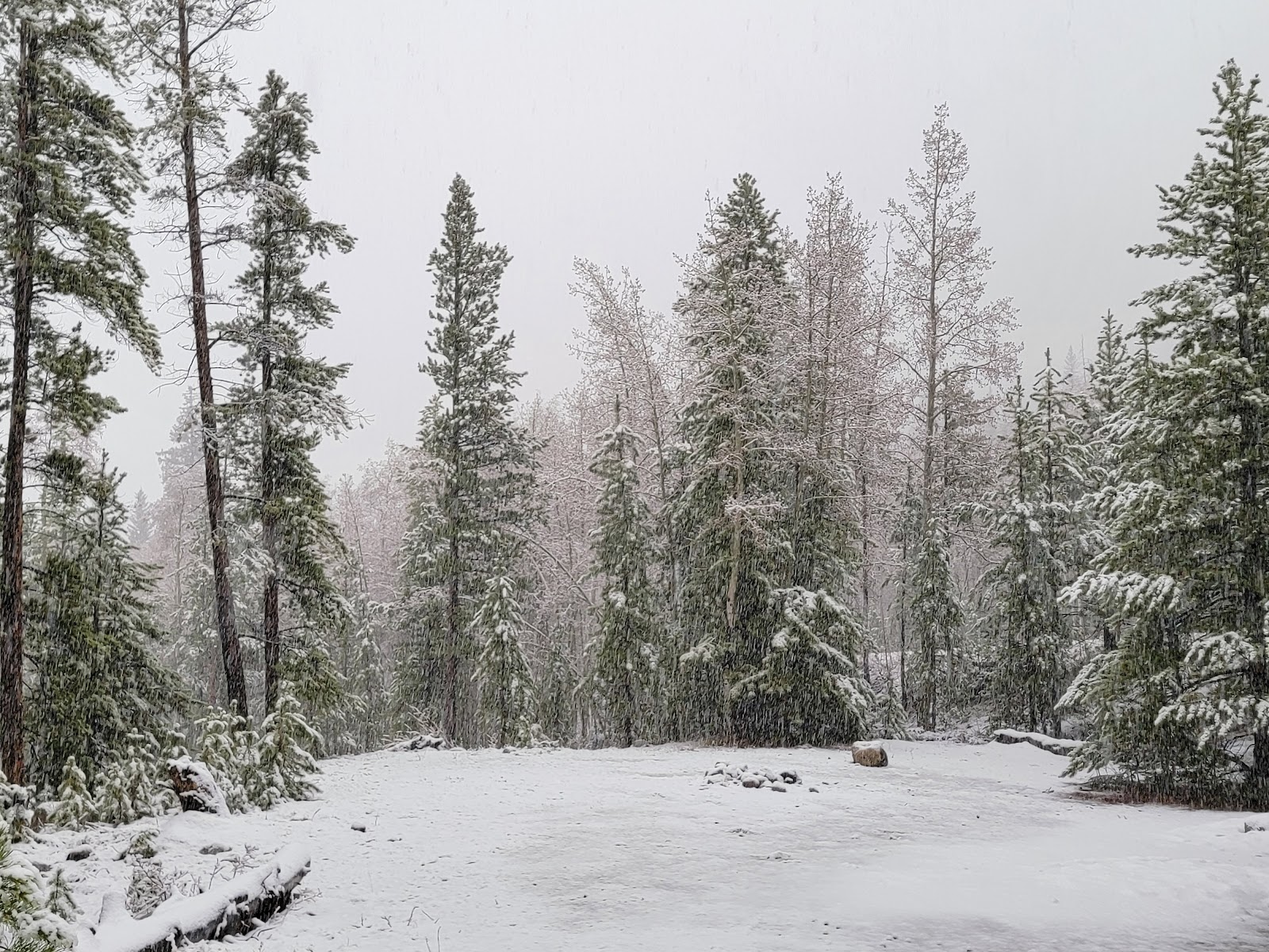 Aspen Glen Campground
