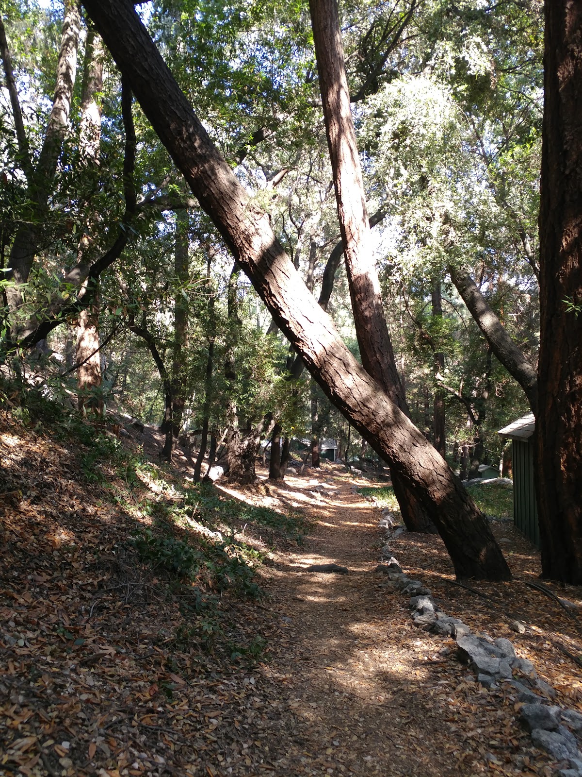 Hoegees Trail Camp Campground