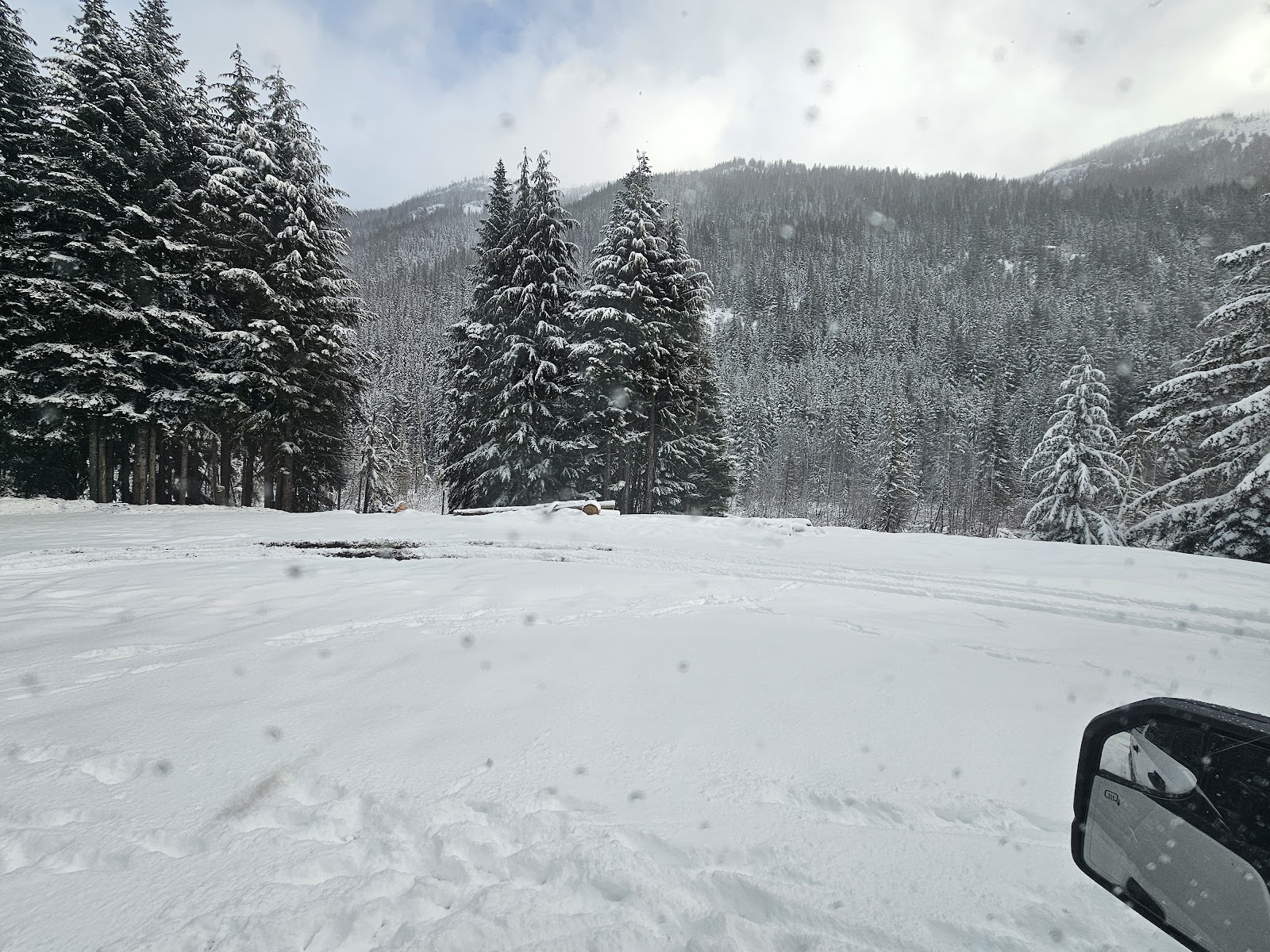 Half Camp Horse Campground