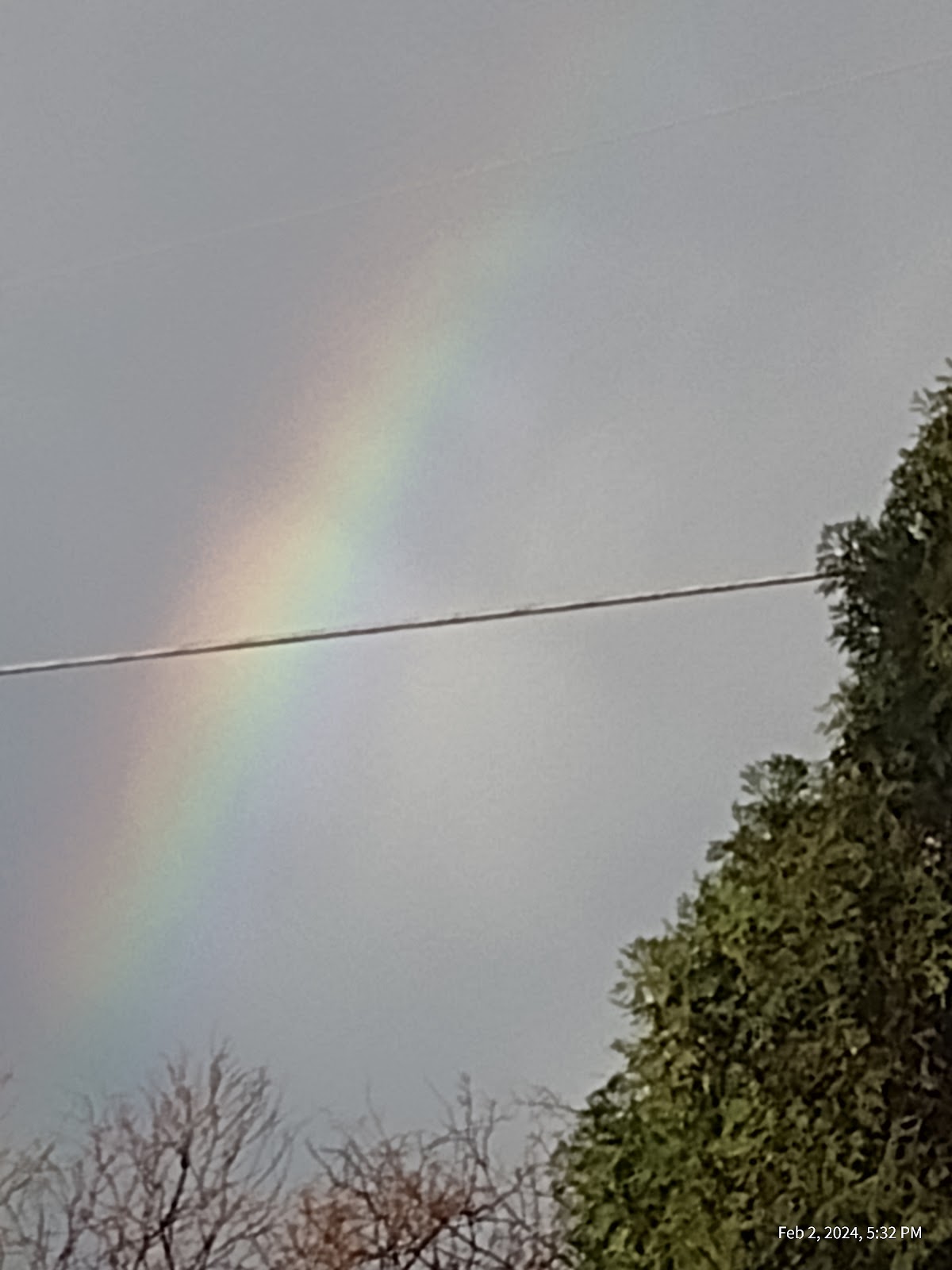 Buzzard Roost RV Campground