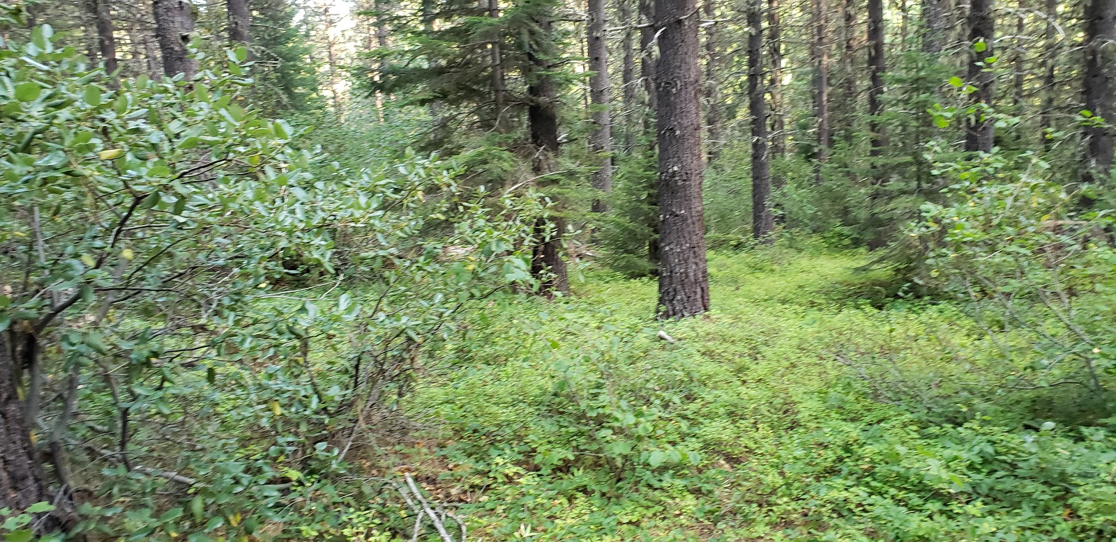 Willow Prairie Campground