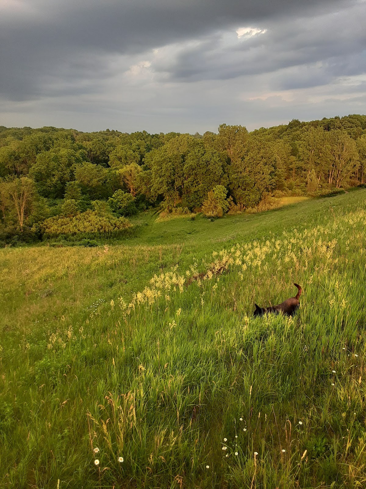 Ionia State Recreation Area