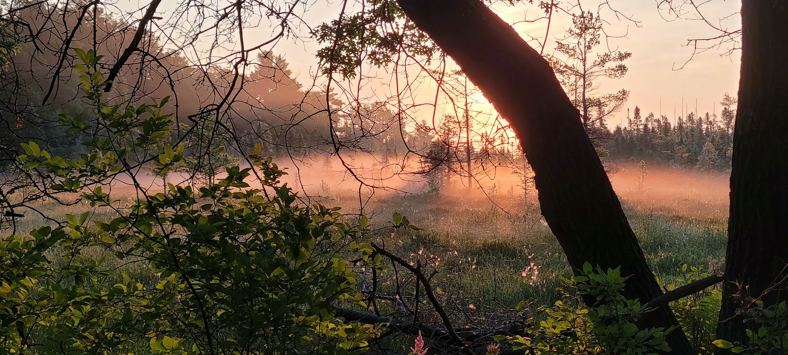 Winter Haven Resort and Campgrounds