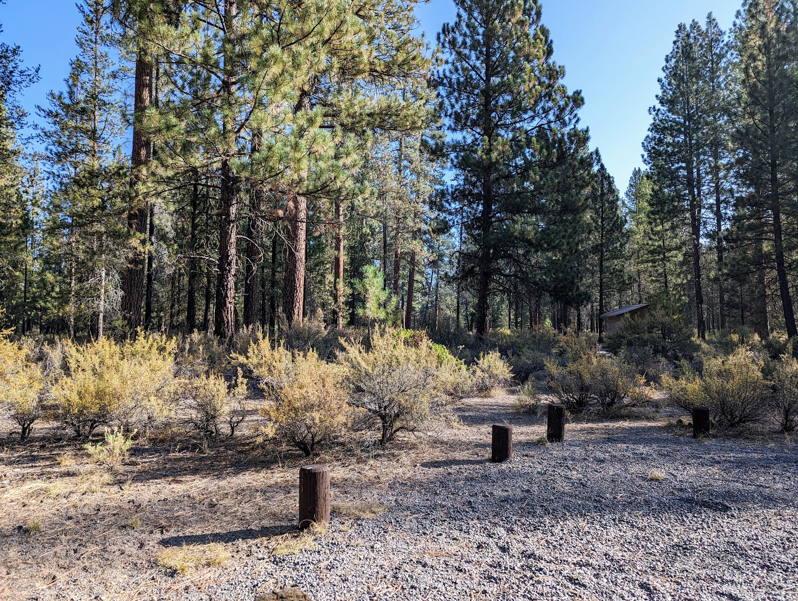 Williamson River Campground