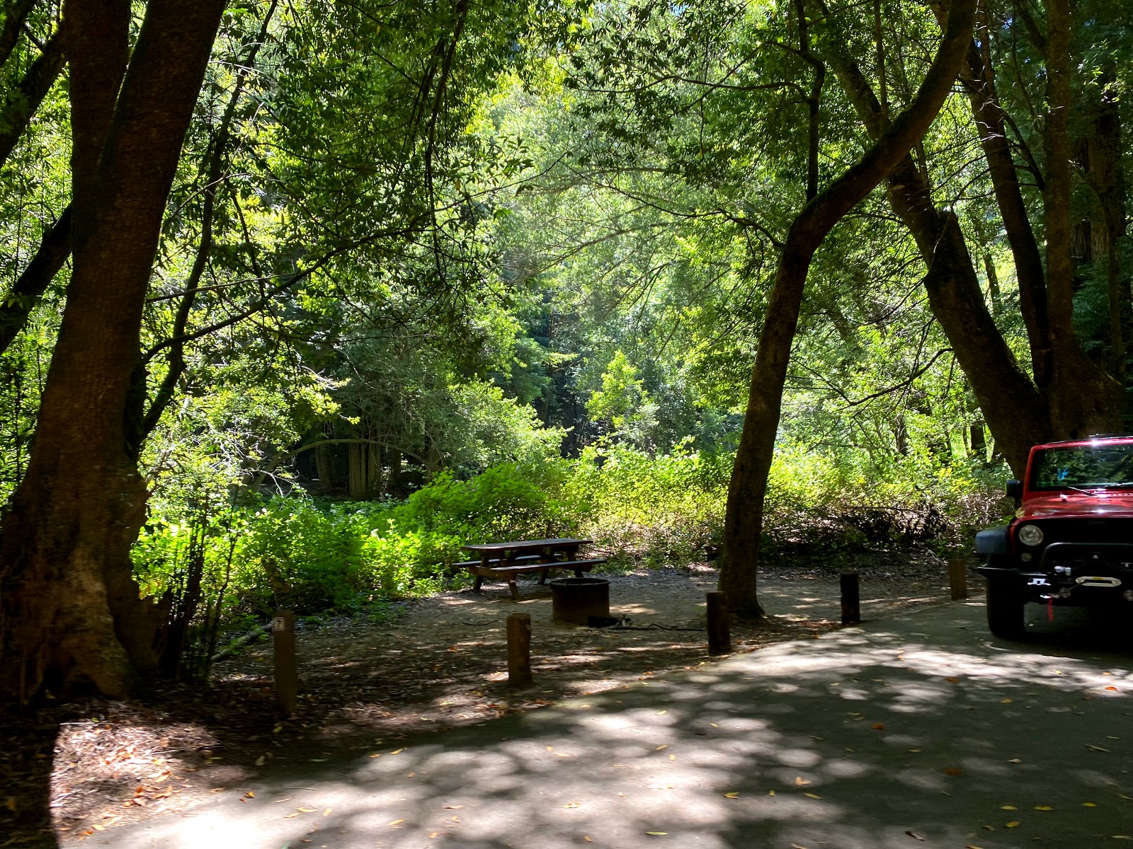 Paul M. Dimmick Campground