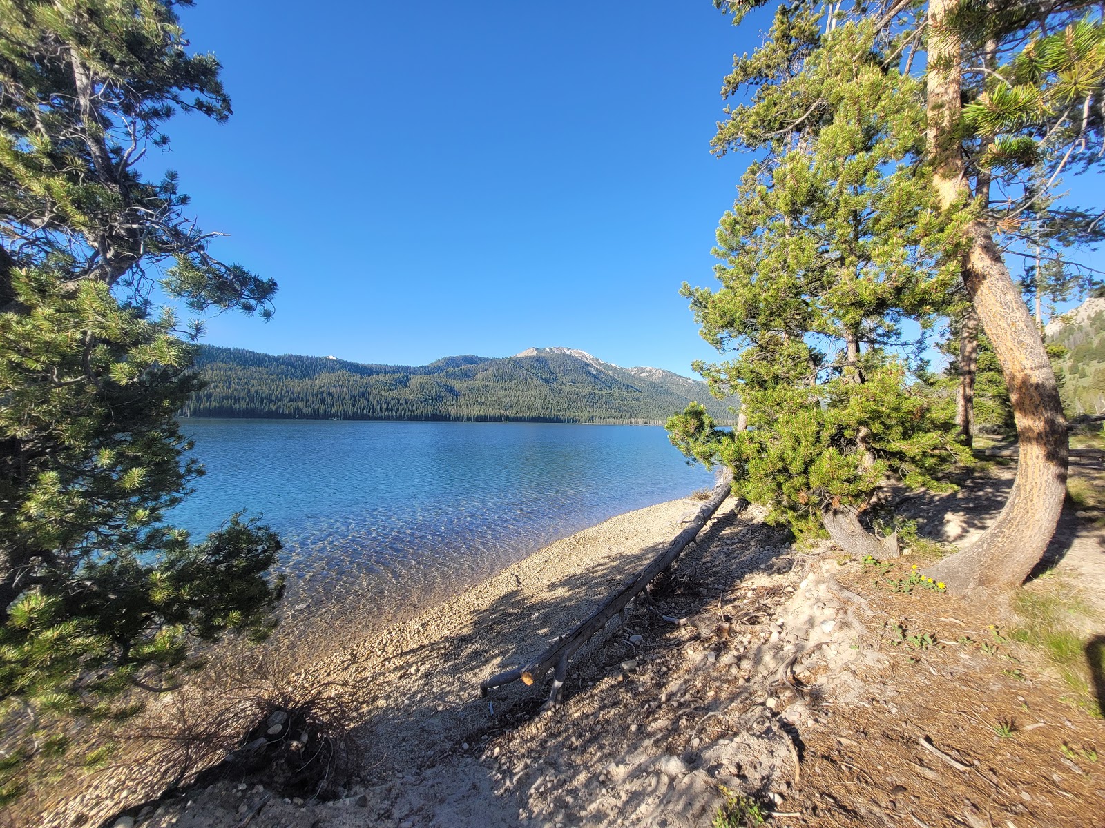 Smokey Bear Campground