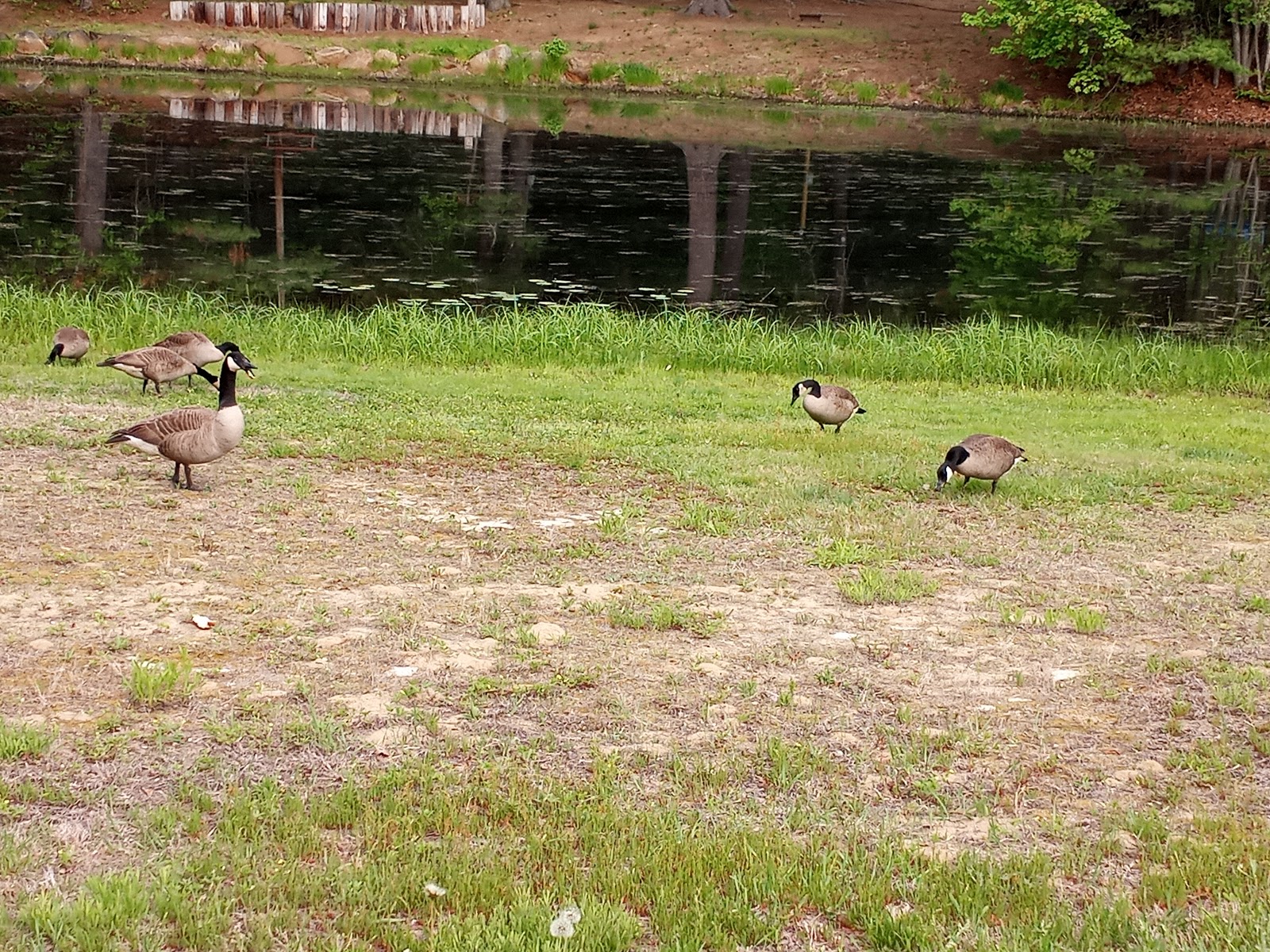 Circle 9 Ranch Campground