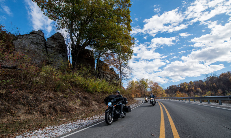 Growl and Lasso - Bear Creek Growl