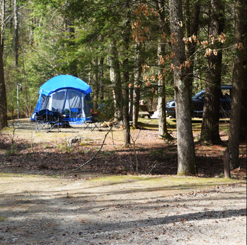 George Washington Management Area