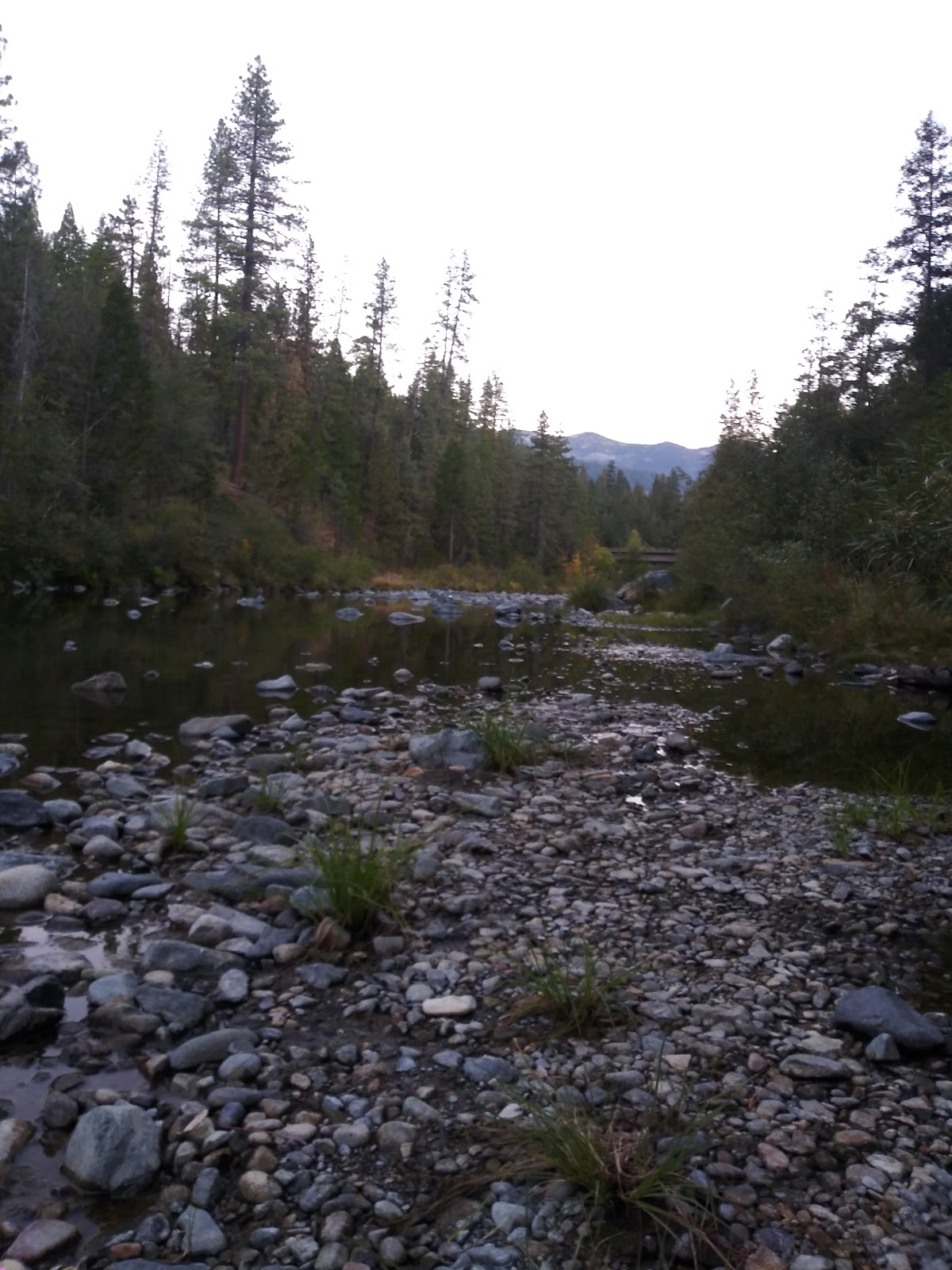 Trinity River Campground