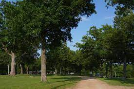 Missouri Festival & RV Park