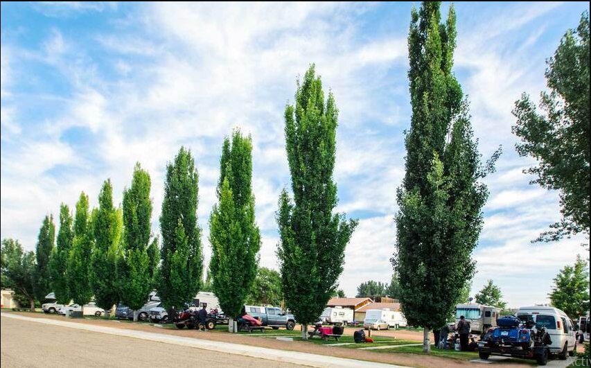 Lower Paintrock Lake Campground