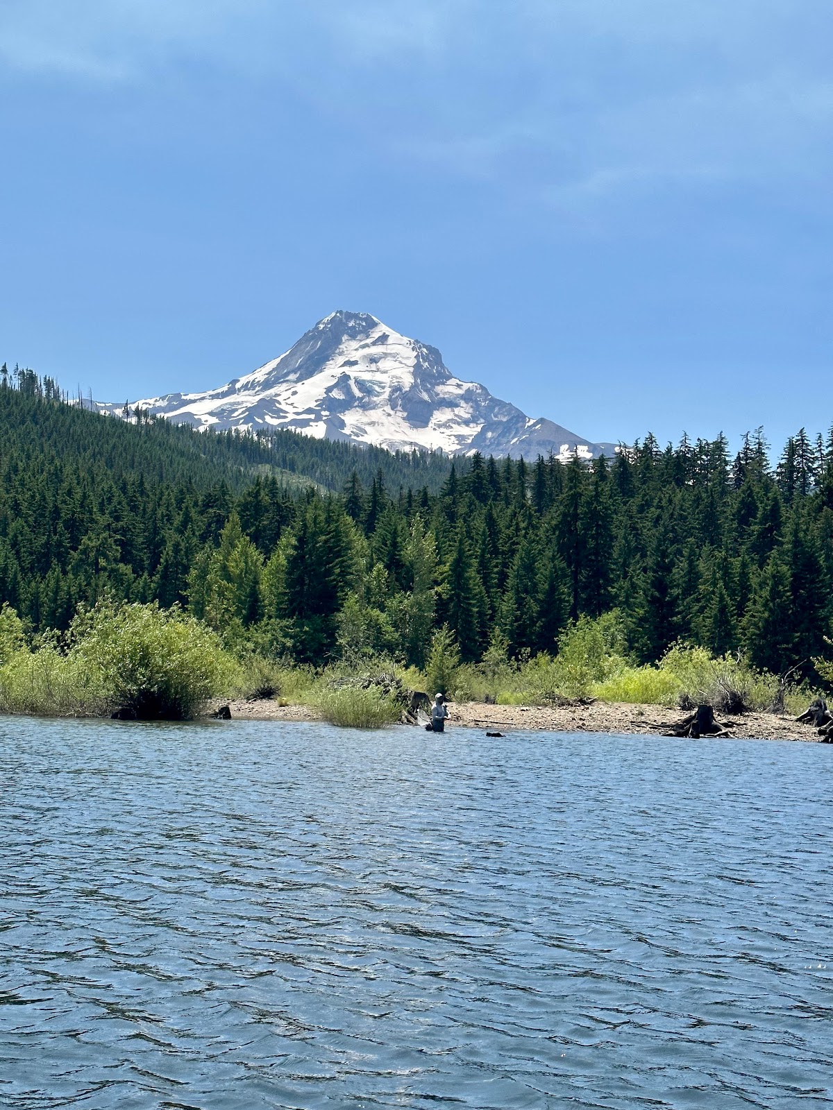 Kinnikinnik Walk In Campground