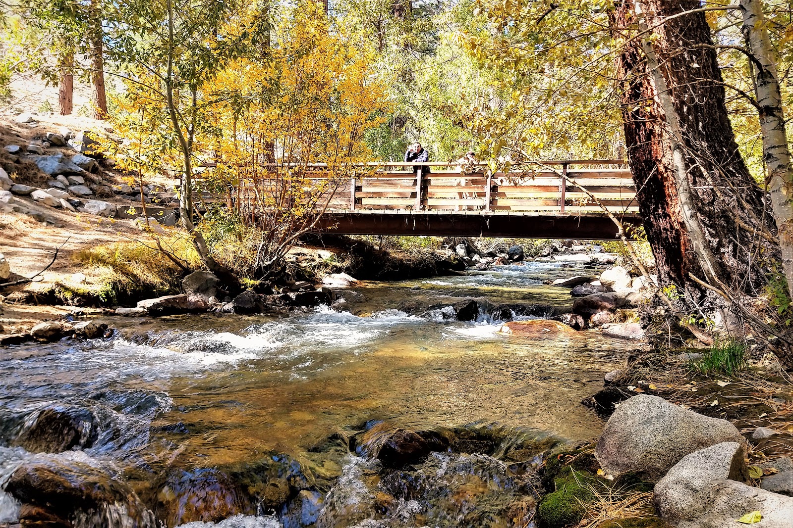 Upper Sage Flat Campground