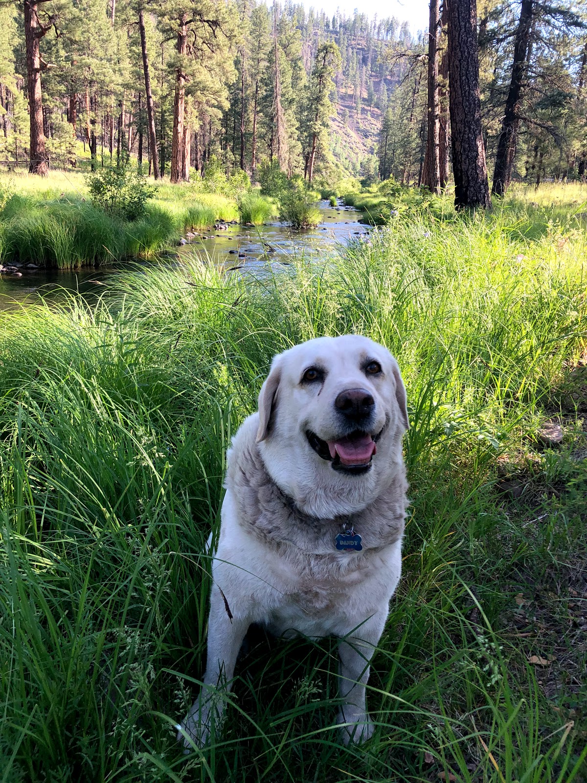 Diamond Rock Campground