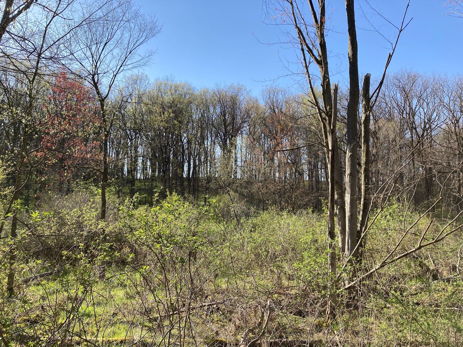 Cade Lake Park and Campground