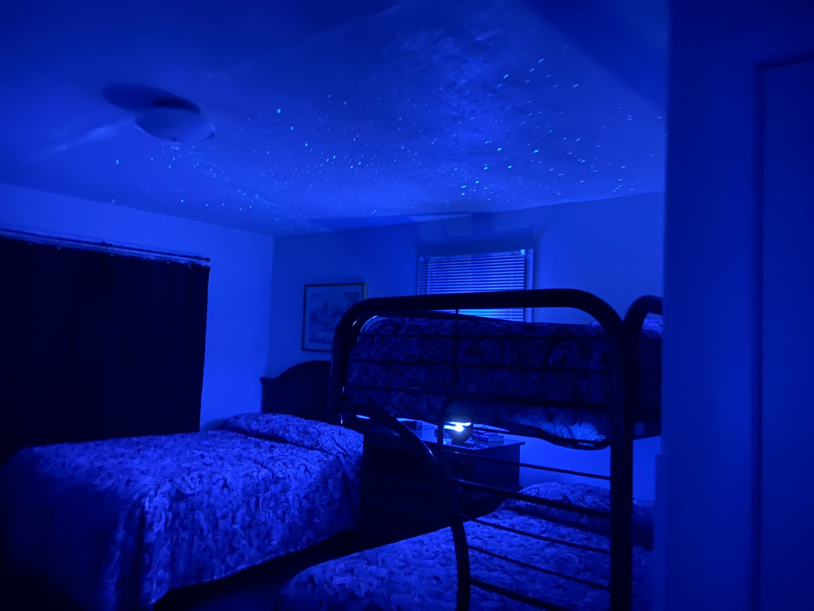 Bunk Haus Lodging & RV Park