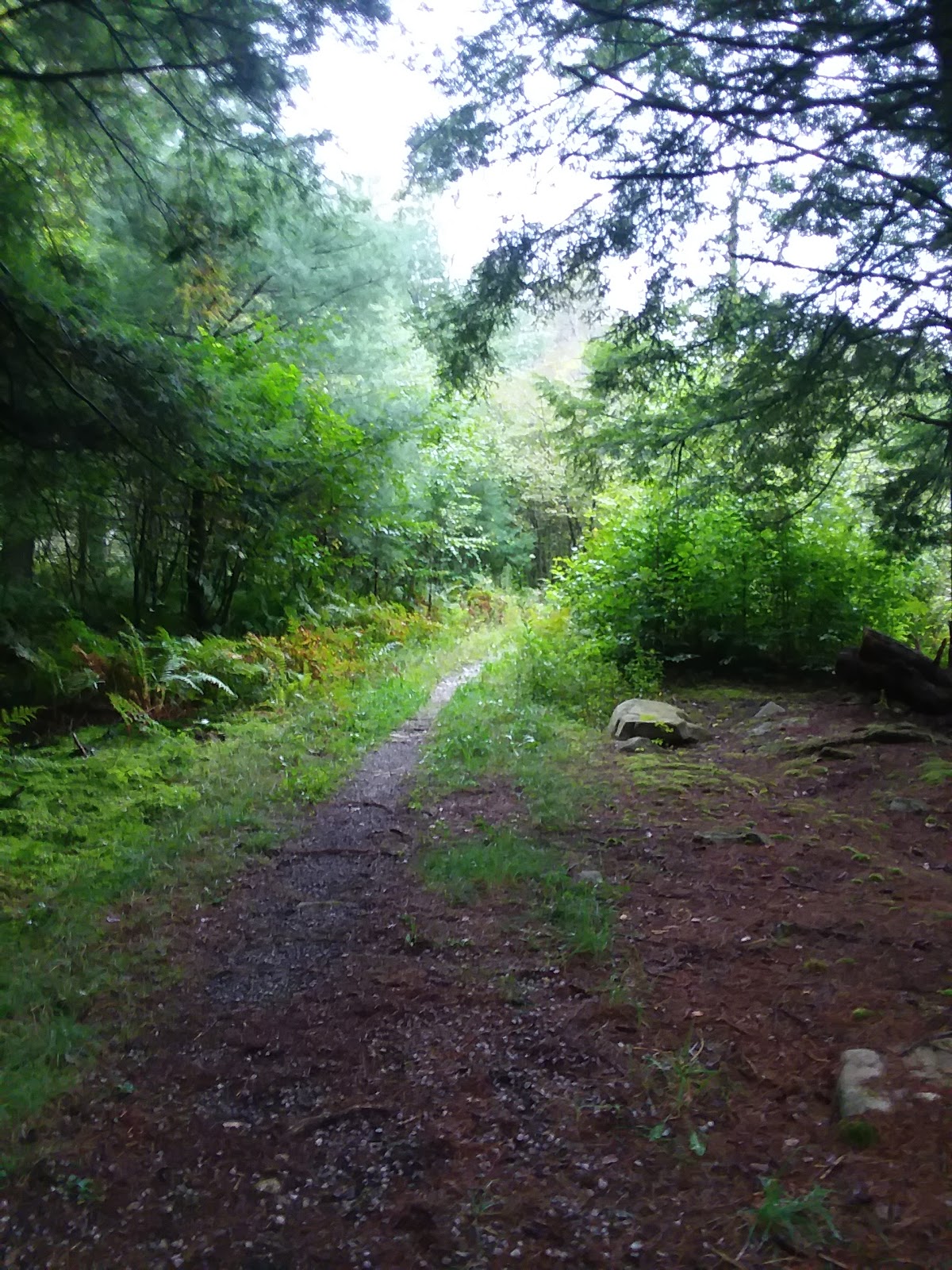 Kelly Pines Campground