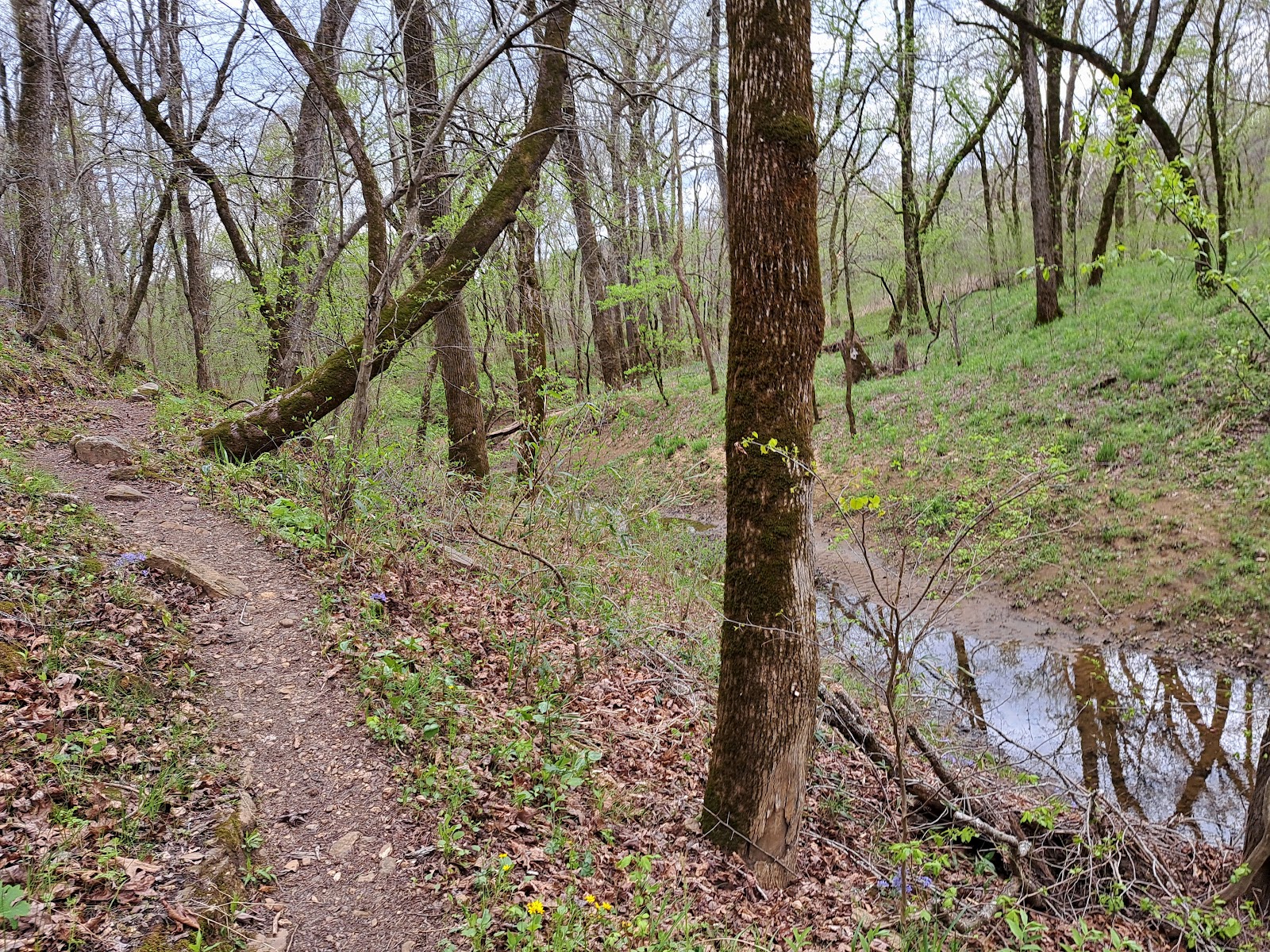 Ozark Campground - Buffalo National River