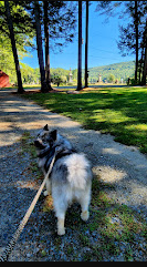 Crown Point Camping Area