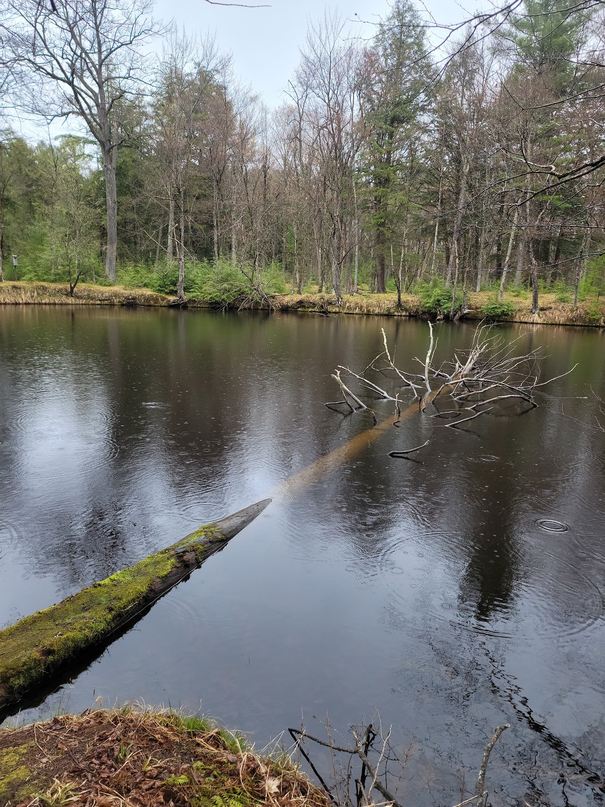 North - Brunet Island State Park