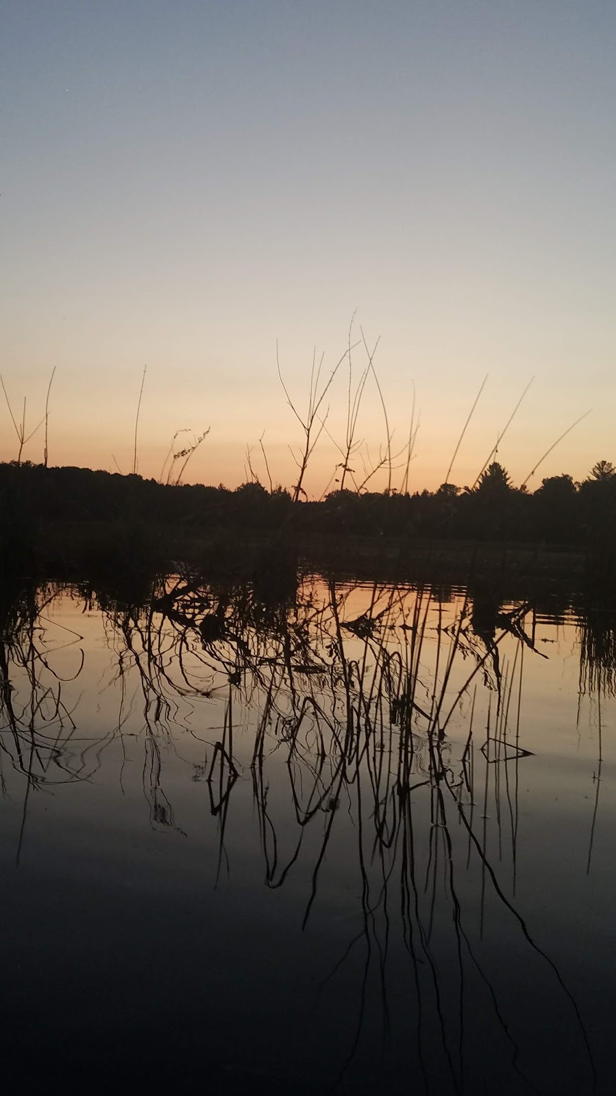 Loon Lake Campground