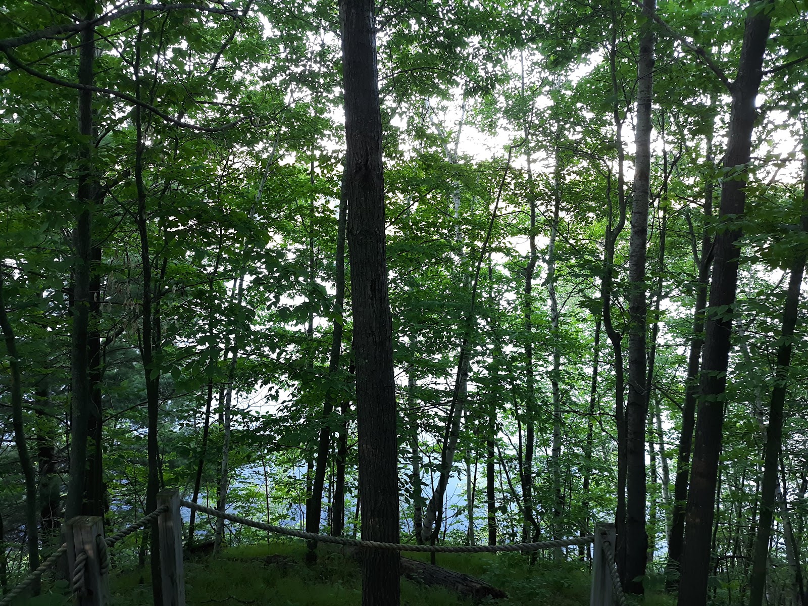 Traceys Resort Campground