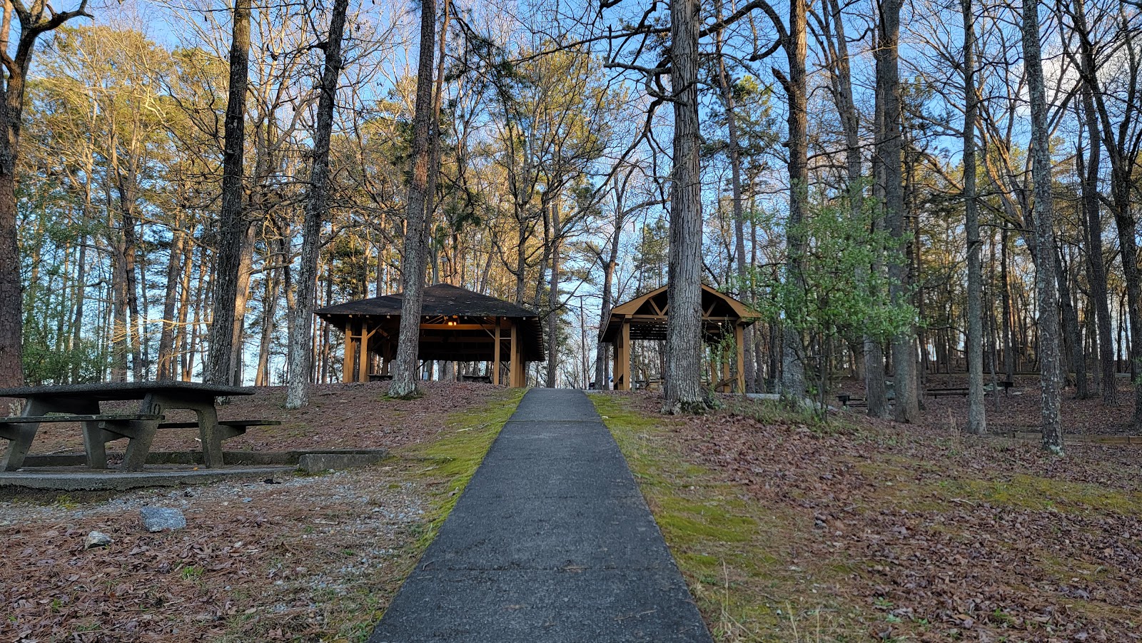 Cooper Branch No 2 Day Use Area (GA)