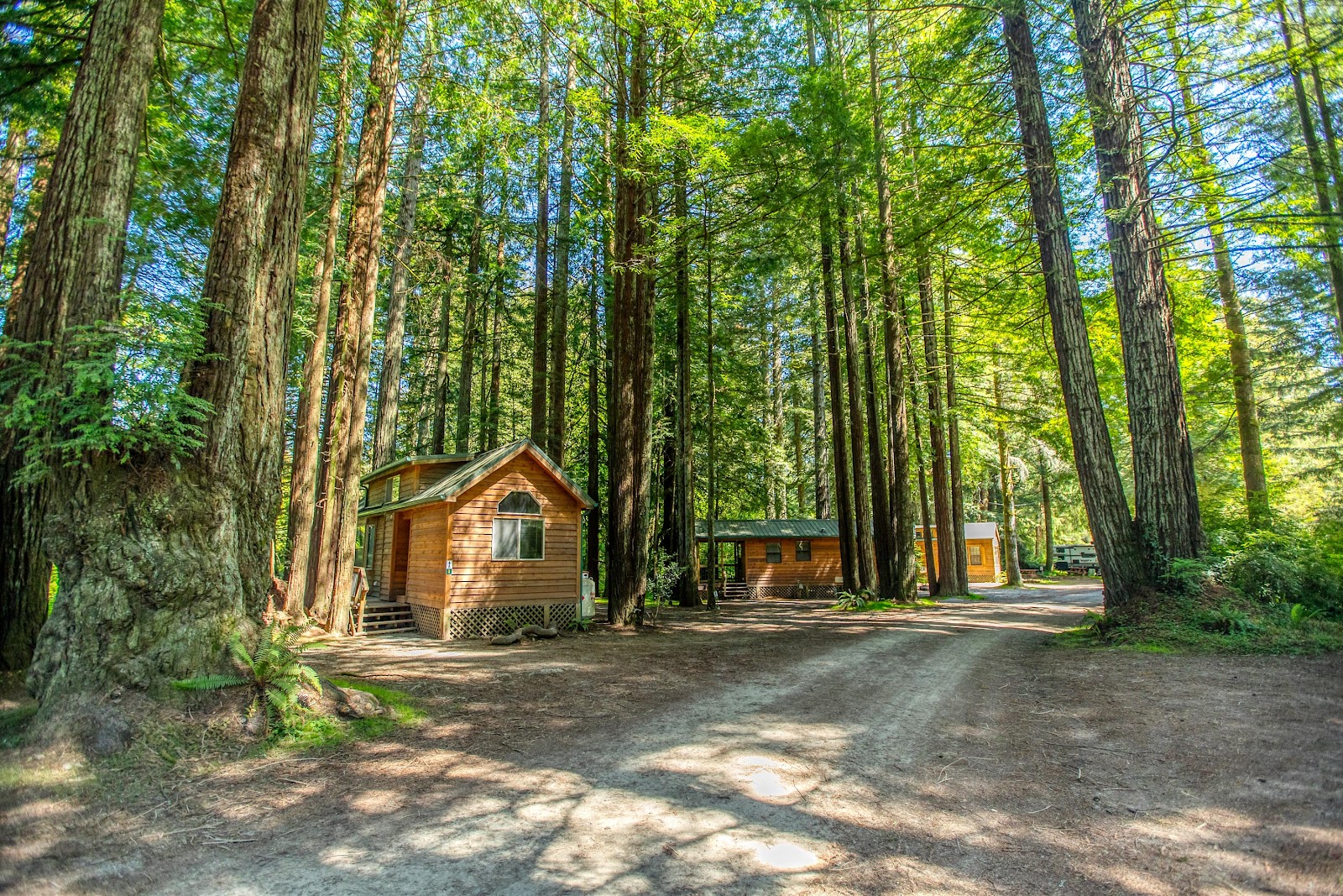 The Redwoods RV Resort