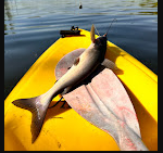 Henderson Point Campground