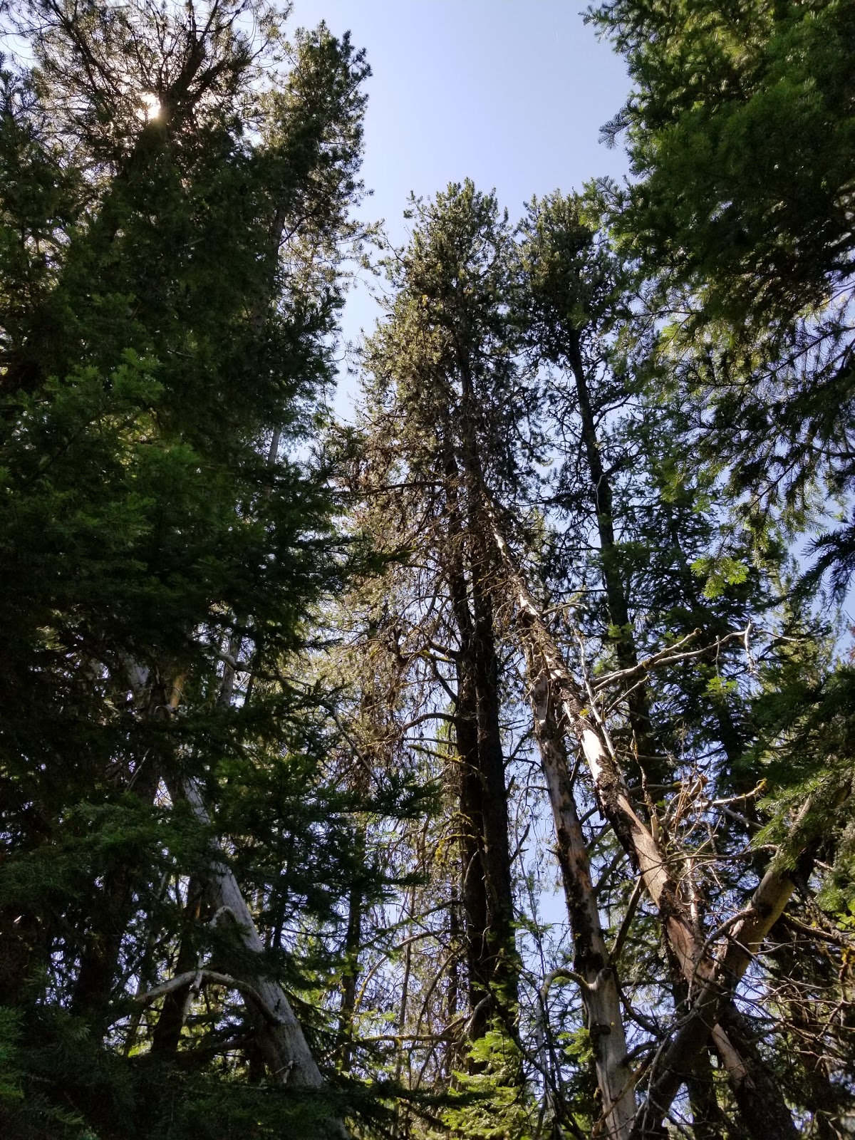 Cold Springs Campground