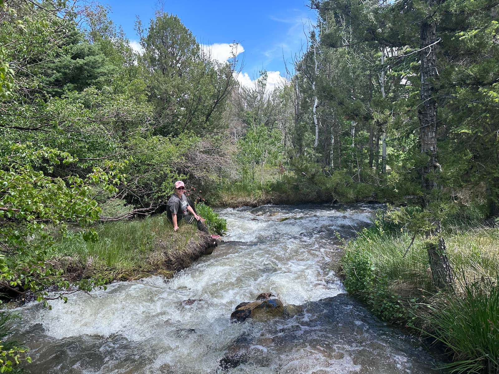 Lower Lehman Creek - Great Basin National Park