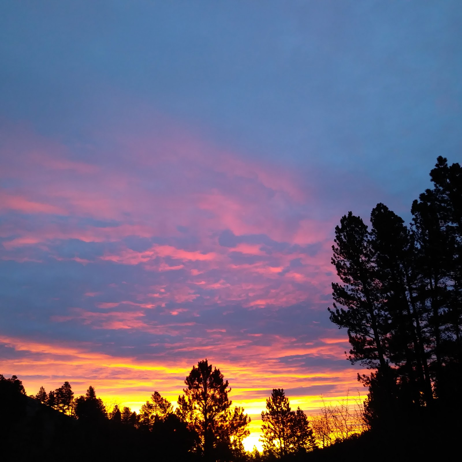 Cow Creek Campground And Picnic Area