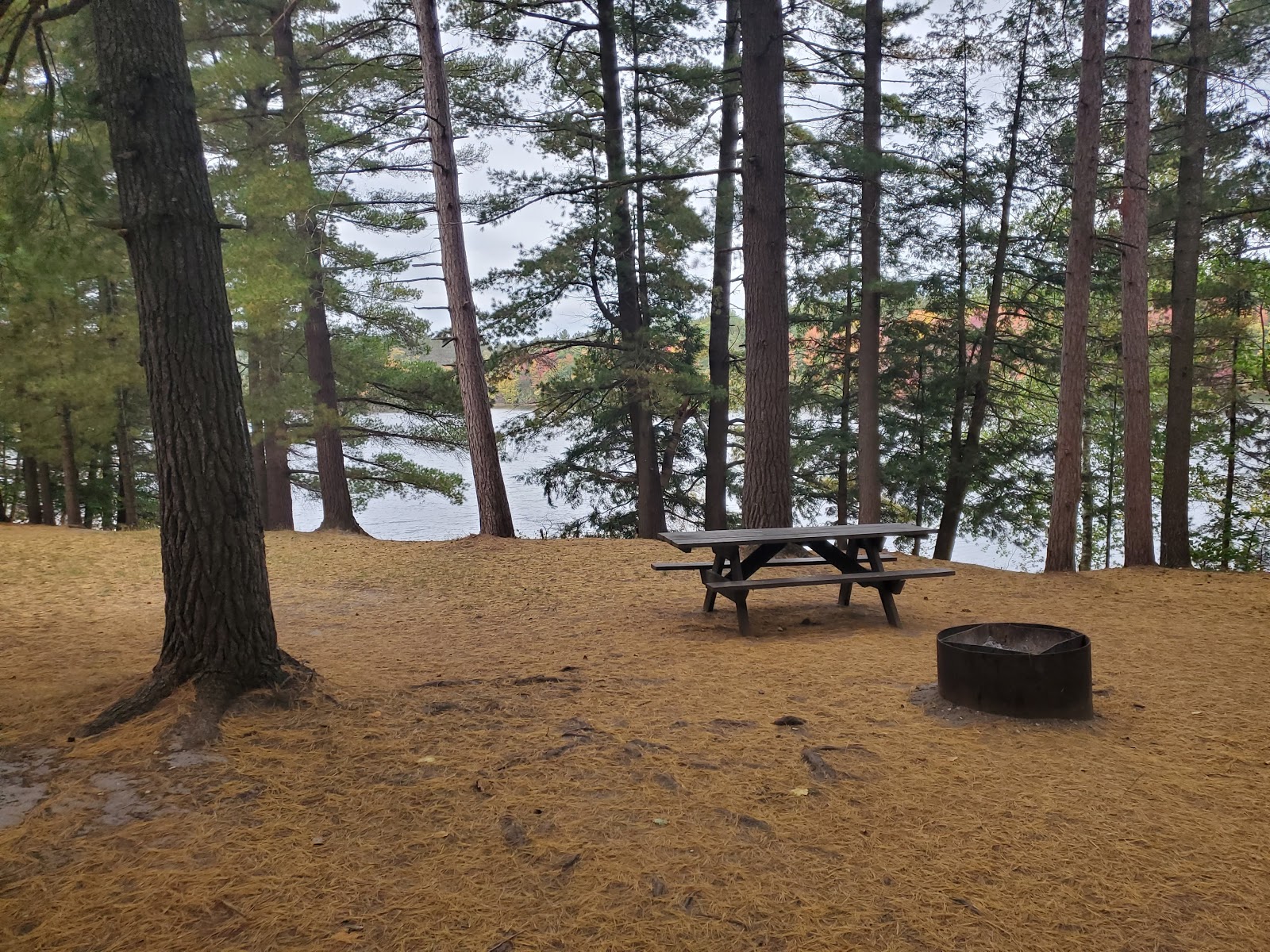 Weber Lake SF Campground