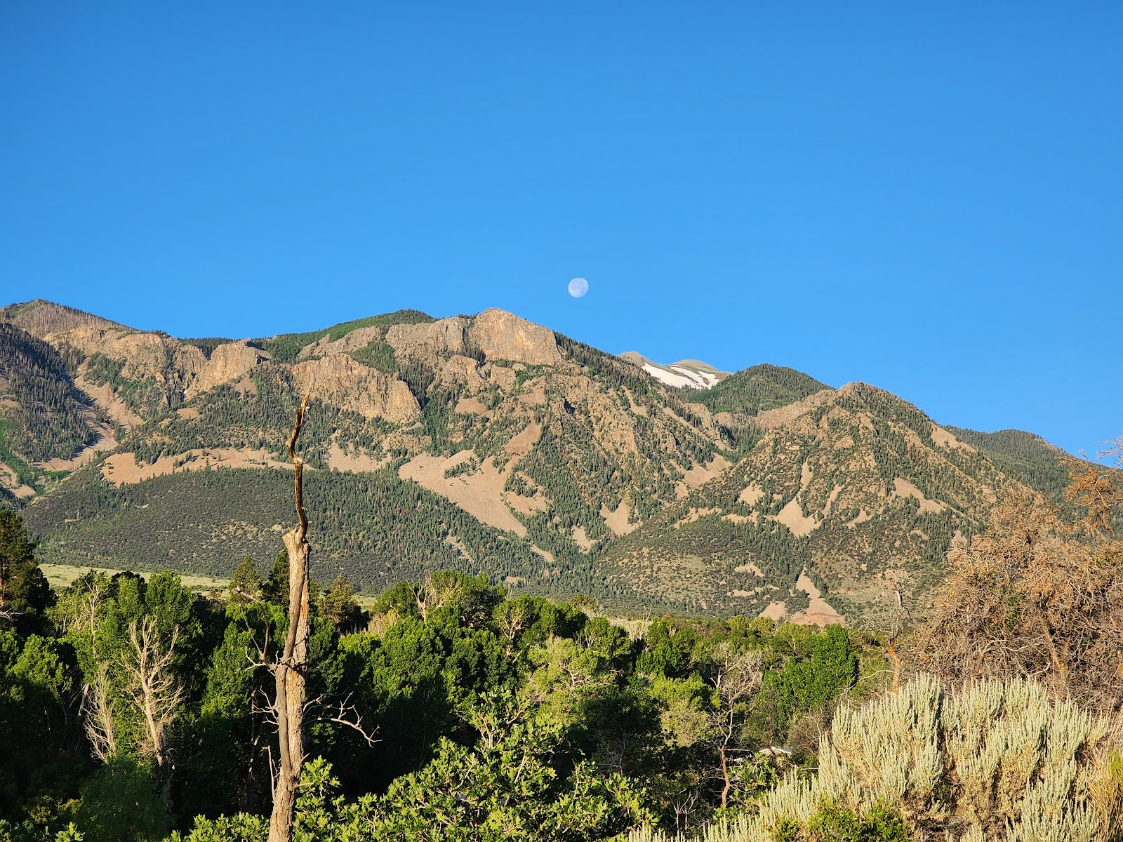 Connie and Gregs Pine Creek Cabins