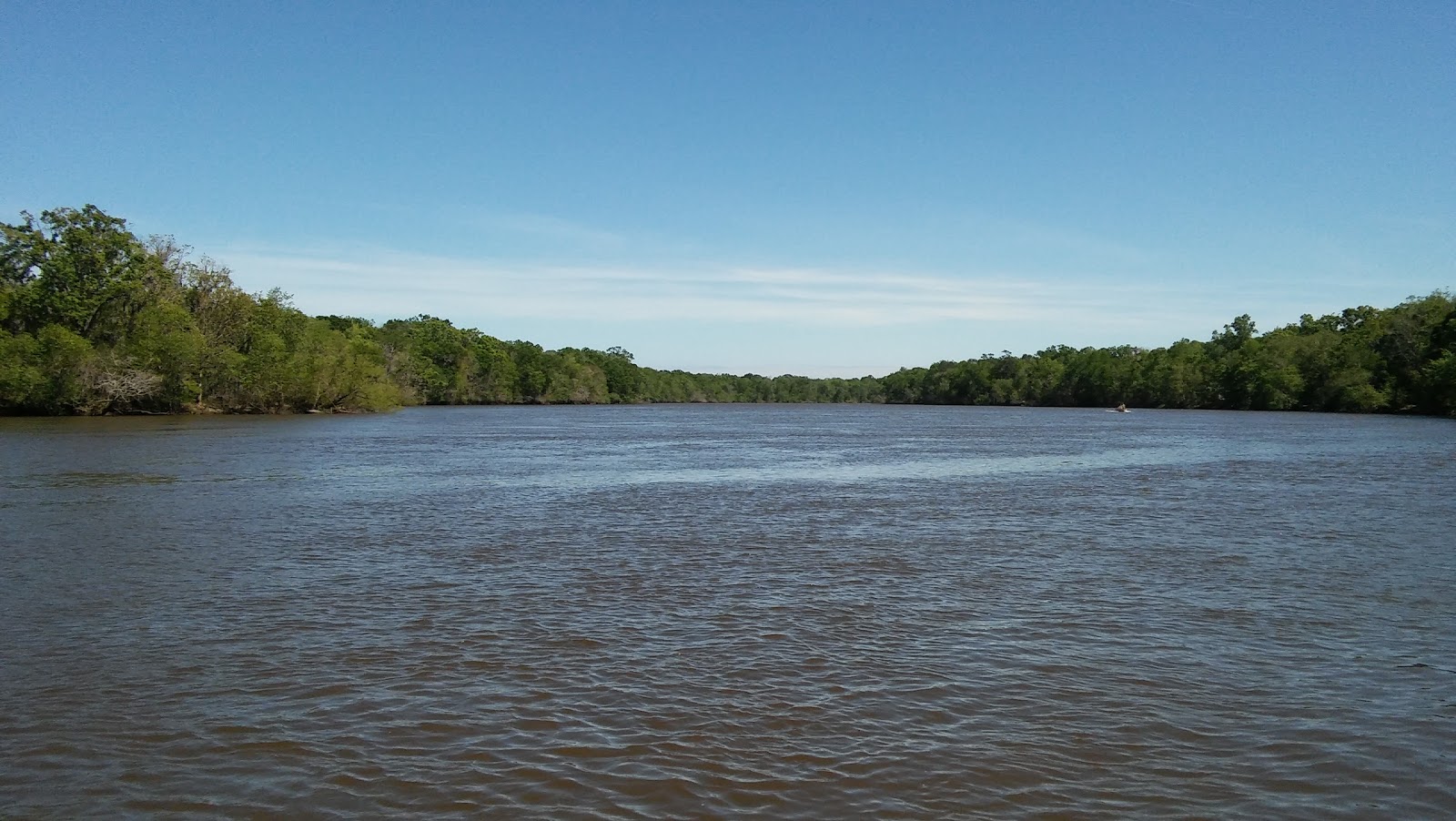 Altamaha River Campground