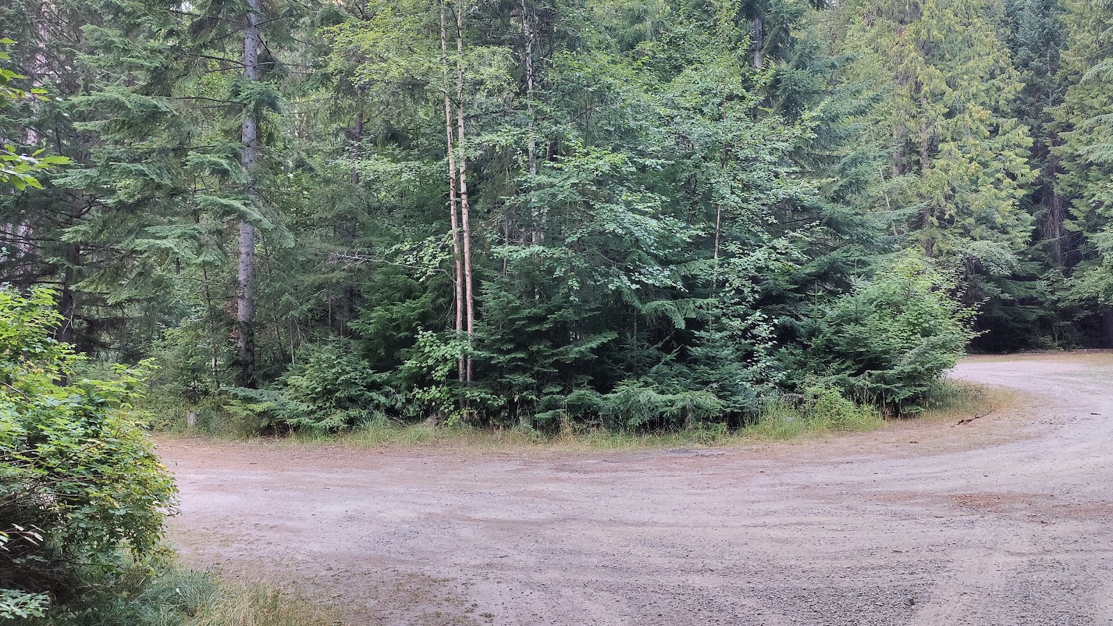 Robinson Lake Campground