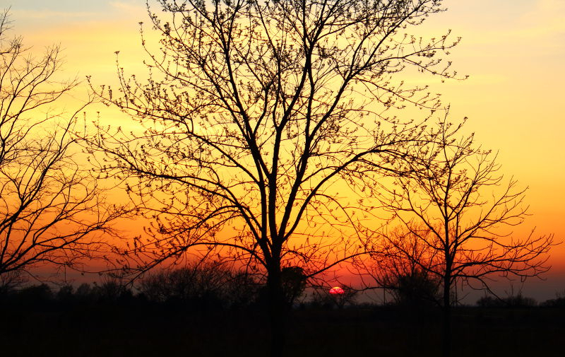 Rutlader Outpost RV Park