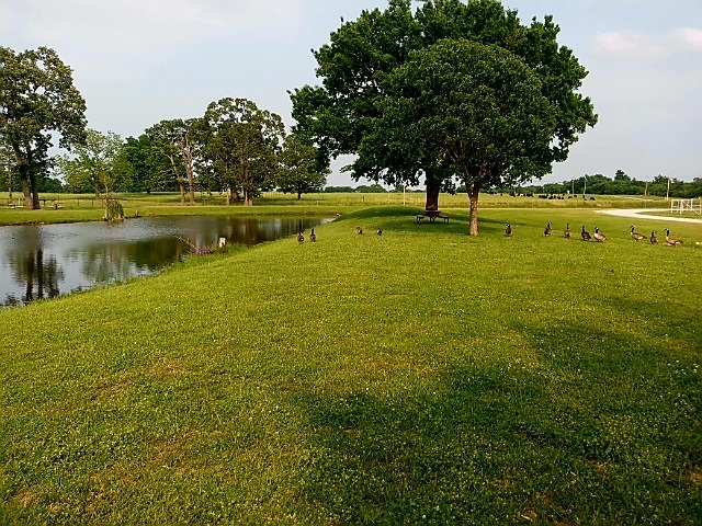 Zen Monkey RV Retreat