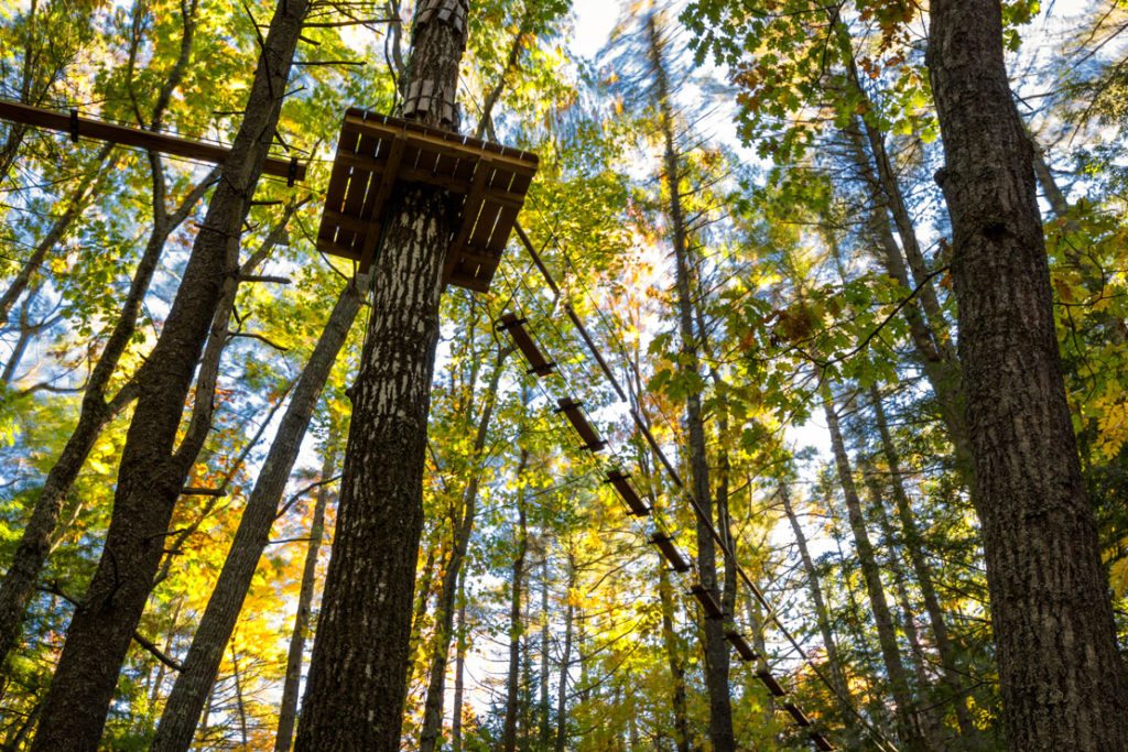 Sun Retreats Wild Acres