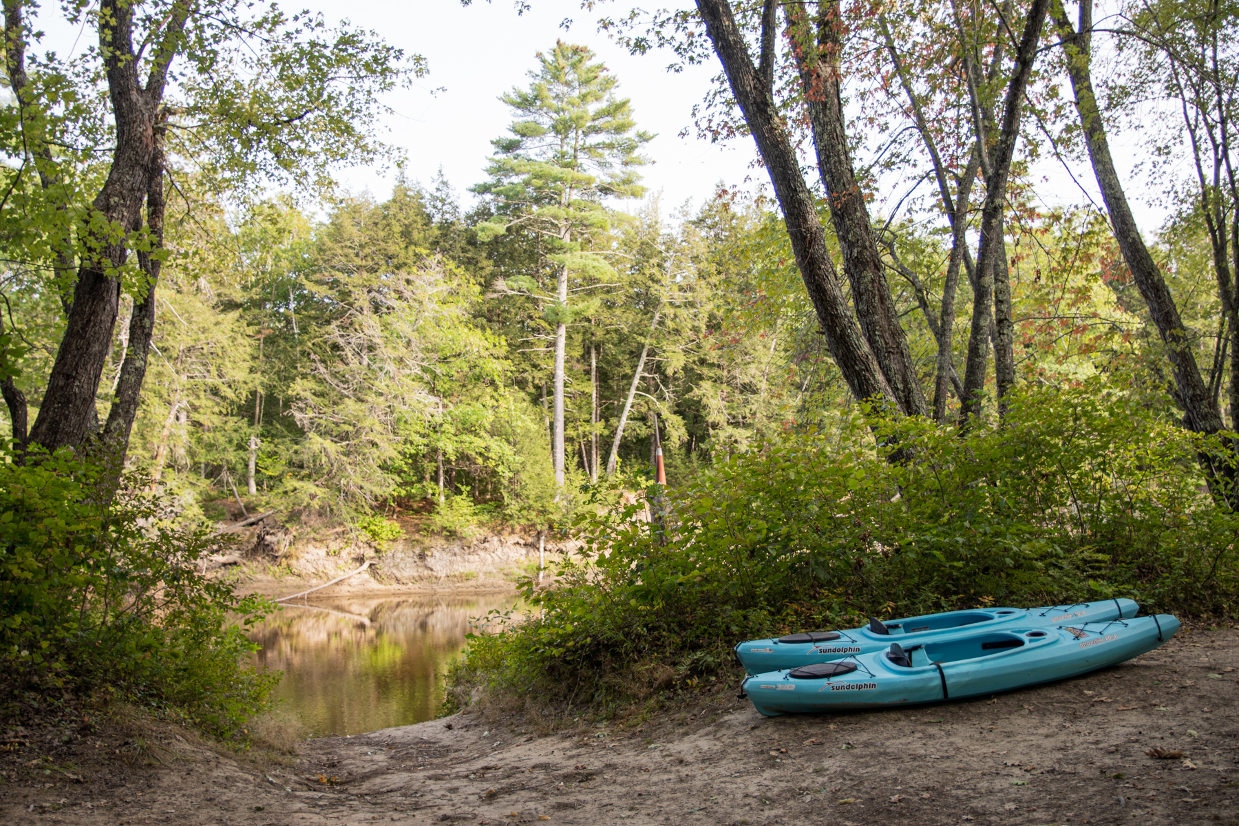 On the Saco Family Campground