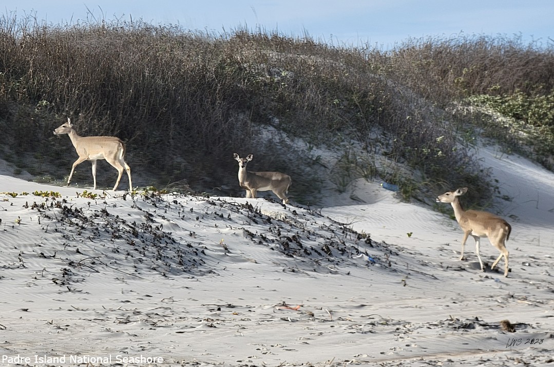 The Boat House RV Park, Aransas-Pass, Texas