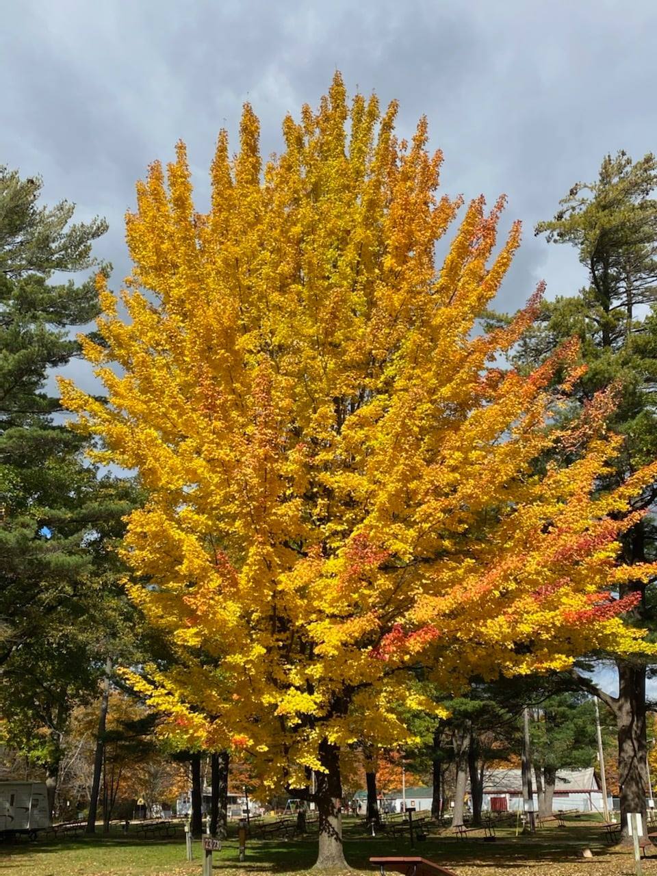 Highway to Haven Family Campground, Grand Haven, Michigan