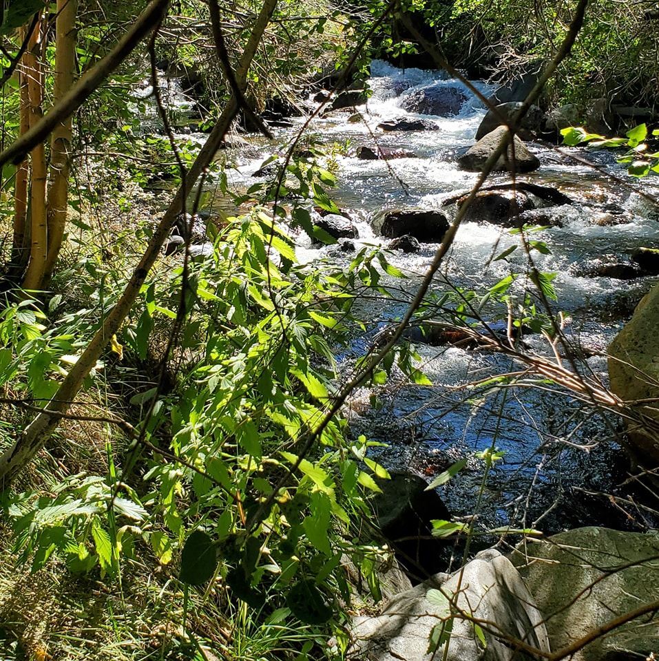 Creekside RV Park - Bishop, CA