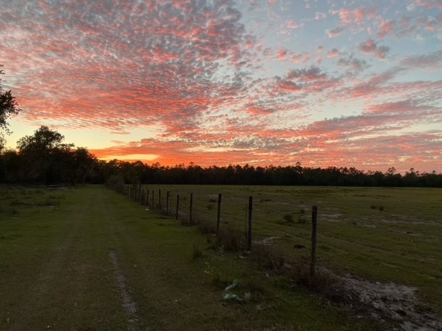 Cowbird Campground, Live Oak, Florida