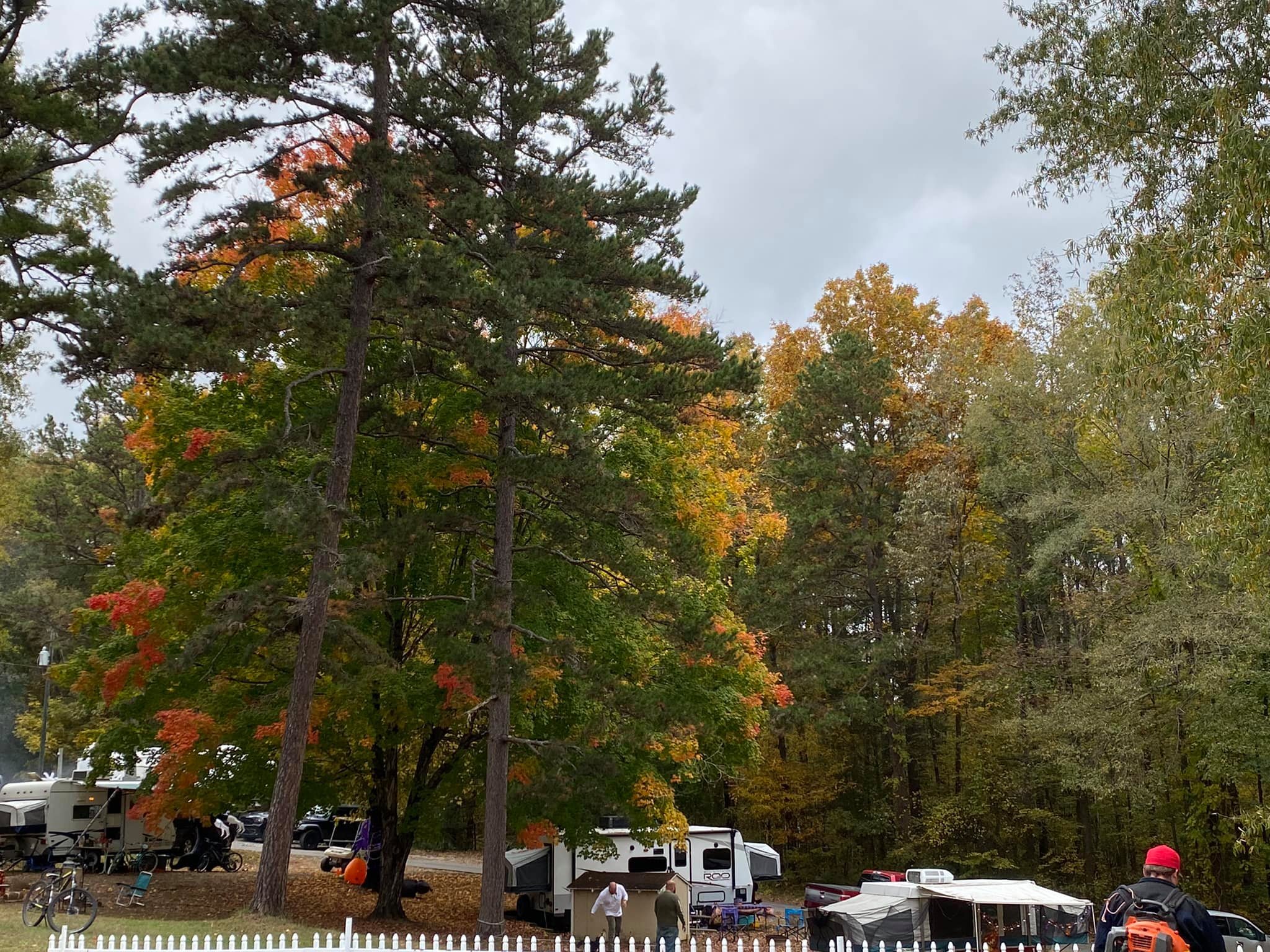 Cobble Hill Campground