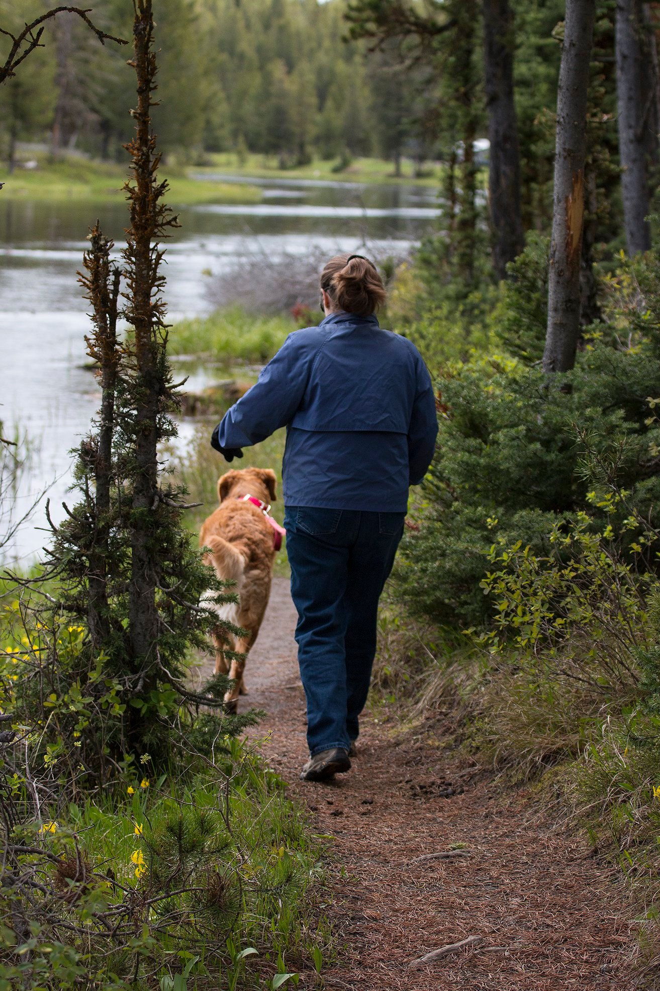 Yellowstone RV Park at Macks Inn, Island Park, Idaho