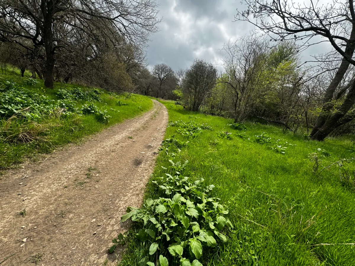 Dominion Oaks RV Park, San Antonio, Texas