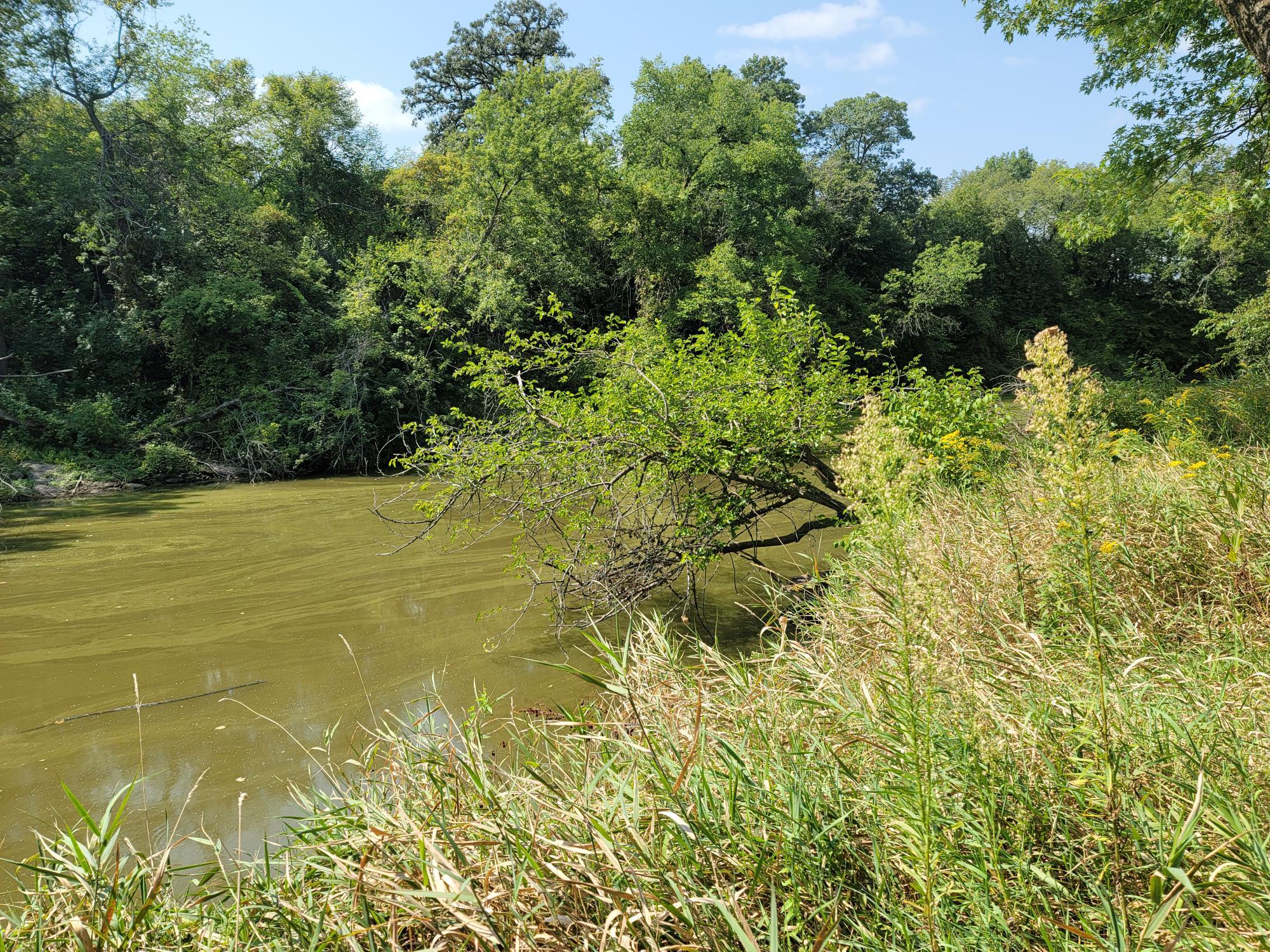 Dallas County Fairgrounds Campground